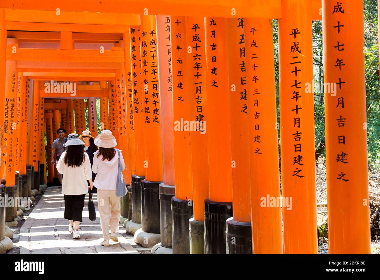 Giappone, Isola di Honshu, Regione di Kansai, Kyoto, distretto di Fushimi ku, santuario di le Fushimi Inari taisha, cancello o torii Foto Stock