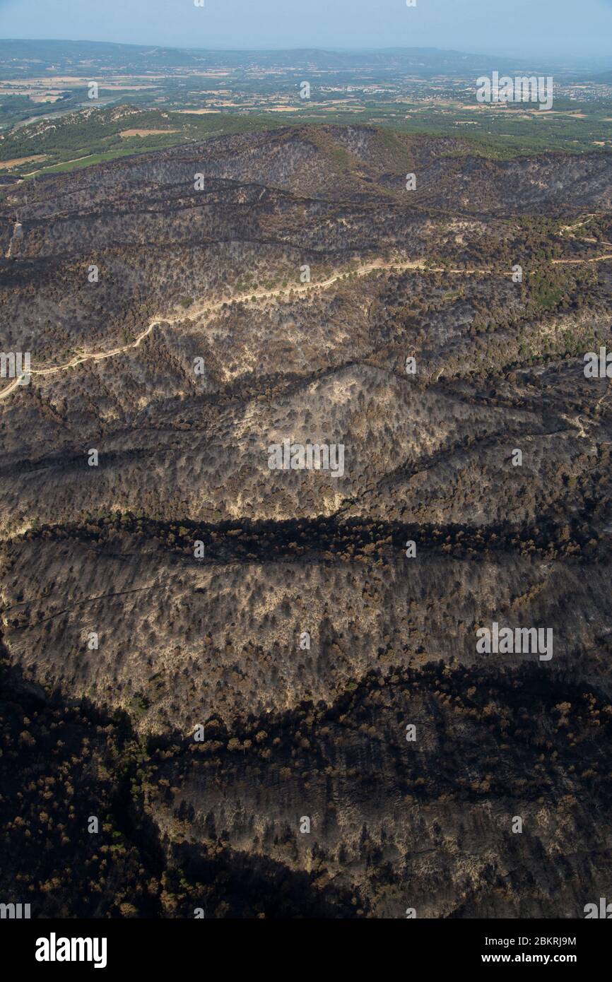 Francia, Vaucluse, Luberon, il fuoco della foresta del 24 luglio 2017 tra Mirabeau e il Bastidonne. Il fuoco devastato 1300 ettari, sorvolato da parapendio motorizzato (vista aerea) Foto Stock