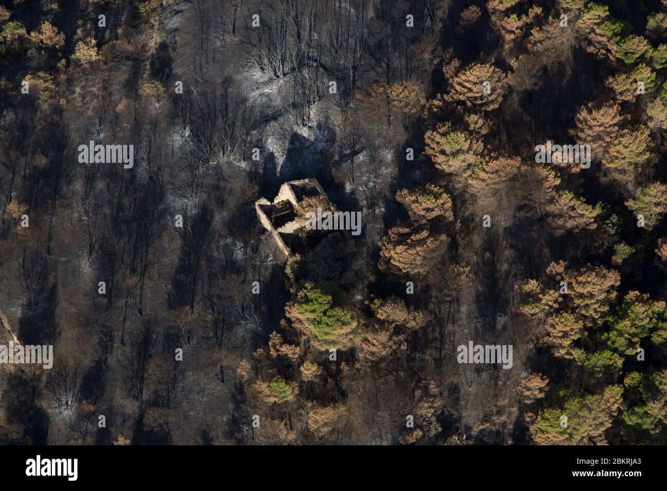 Francia, Vaucluse, Luberon, il fuoco della foresta del 24 luglio 2017 tra Mirabeau e il Bastidonne. Il fuoco devastato 1300 ettari, sorvolato da parapendio motorizzato (vista aerea) Foto Stock