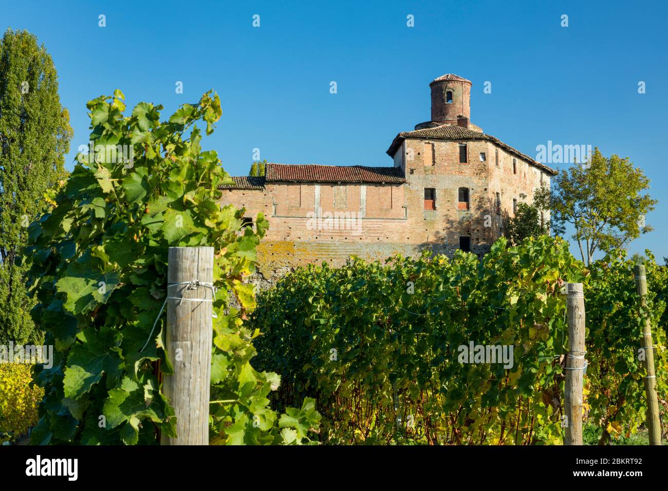 Castello della volta sorge su vigneti nei pressi di Barolo, Piemonte, Italia Foto Stock