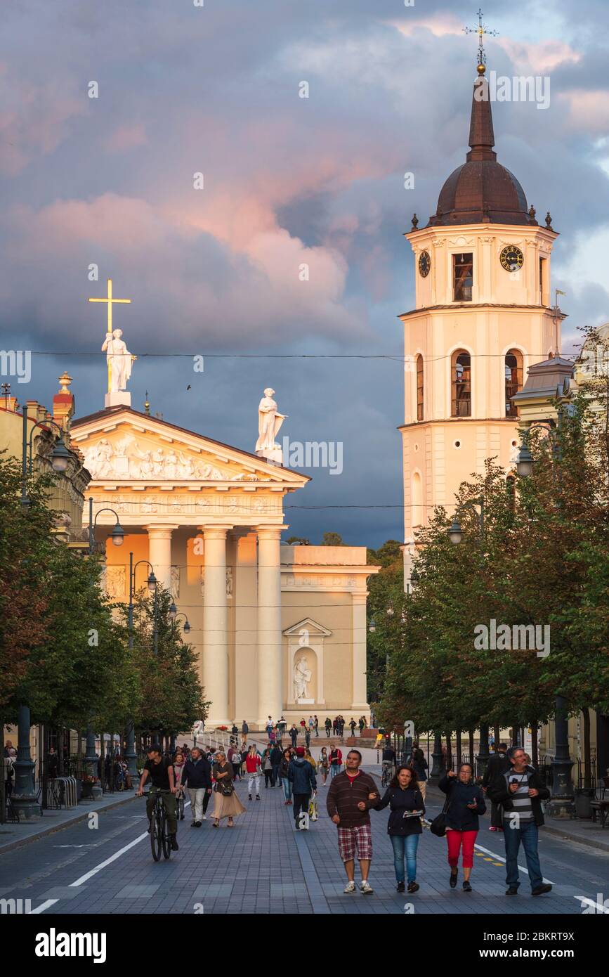 Lituania (Stati baltici), Vilnius, centro storico, patrimonio mondiale dell'UNESCO, viale Gedimino con vista sulla torre dell'orologio situata di fronte a San Stanislas e la cattedrale di San Vladislav Foto Stock