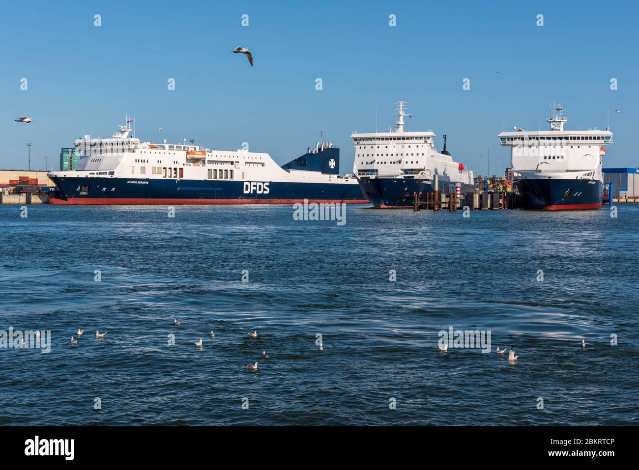 Lituania (Stati baltici), Contea di Klaipeda, Klaipeda, Mar Baltico, porto internazionale per traghetti Foto Stock