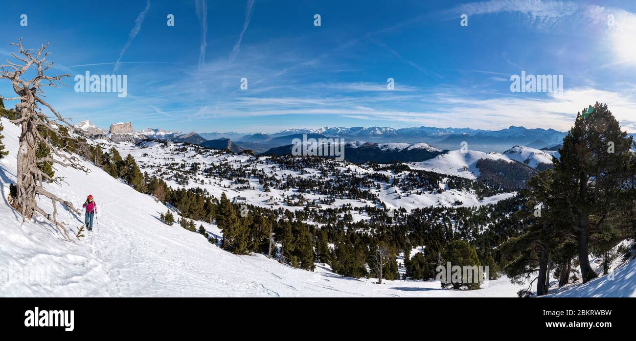 Francia, Drome, Vercors, Hauts-Plateeus, cima della Montagnette (1972 m), escursionista ascendente verso al Grand Pas che domina il Vallon de Combo, sullo sfondo il Grand Veymont (2341 m) e Mont Aiguille (2087 m) Foto Stock