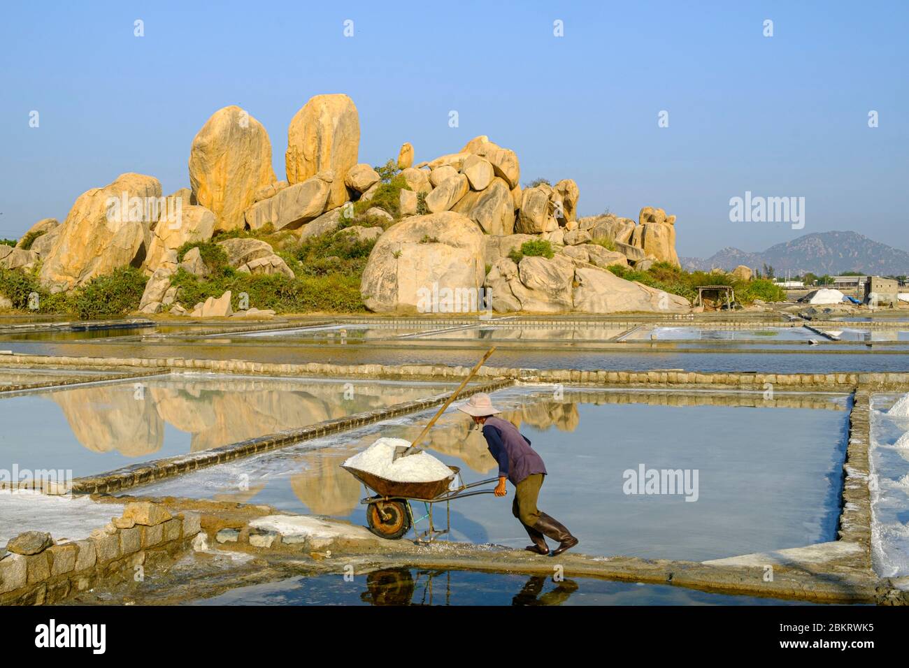 Il Vietnam, Ninh Thuan provincia, Phan Rang, salin, la raccolta del sale nel salins Foto Stock