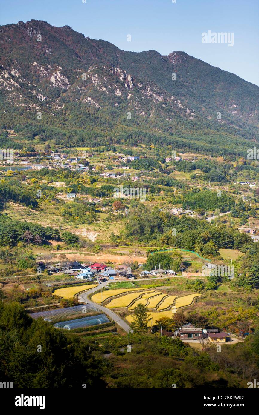 Corea del Sud, Provincia di Gyeongsang del Sud, Hadong, campi di riso, serre, giardinaggio mercato, foreste, montagne e villaggi Foto Stock