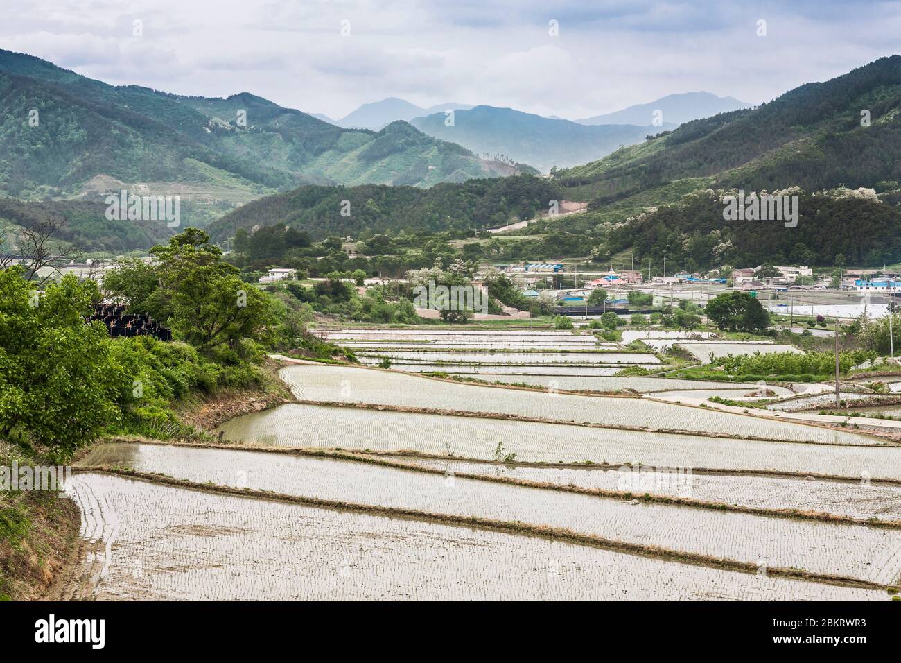 Corea del Sud, Provincia di Jeolla Nord, Jeonju, risaie, foreste, montagne e villaggi Foto Stock