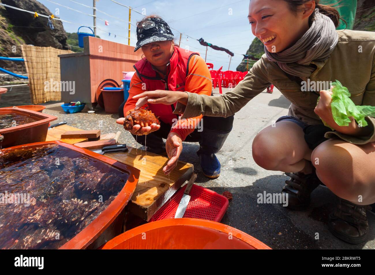 Corea del Sud, Provincia di Gyeongsang del Nord, Isola di Ulleungdo, Dodong, giovane donna coreana che acquista strani frutti di mare chiamati mong-gye in coreano, Halocynthia roretzi Foto Stock