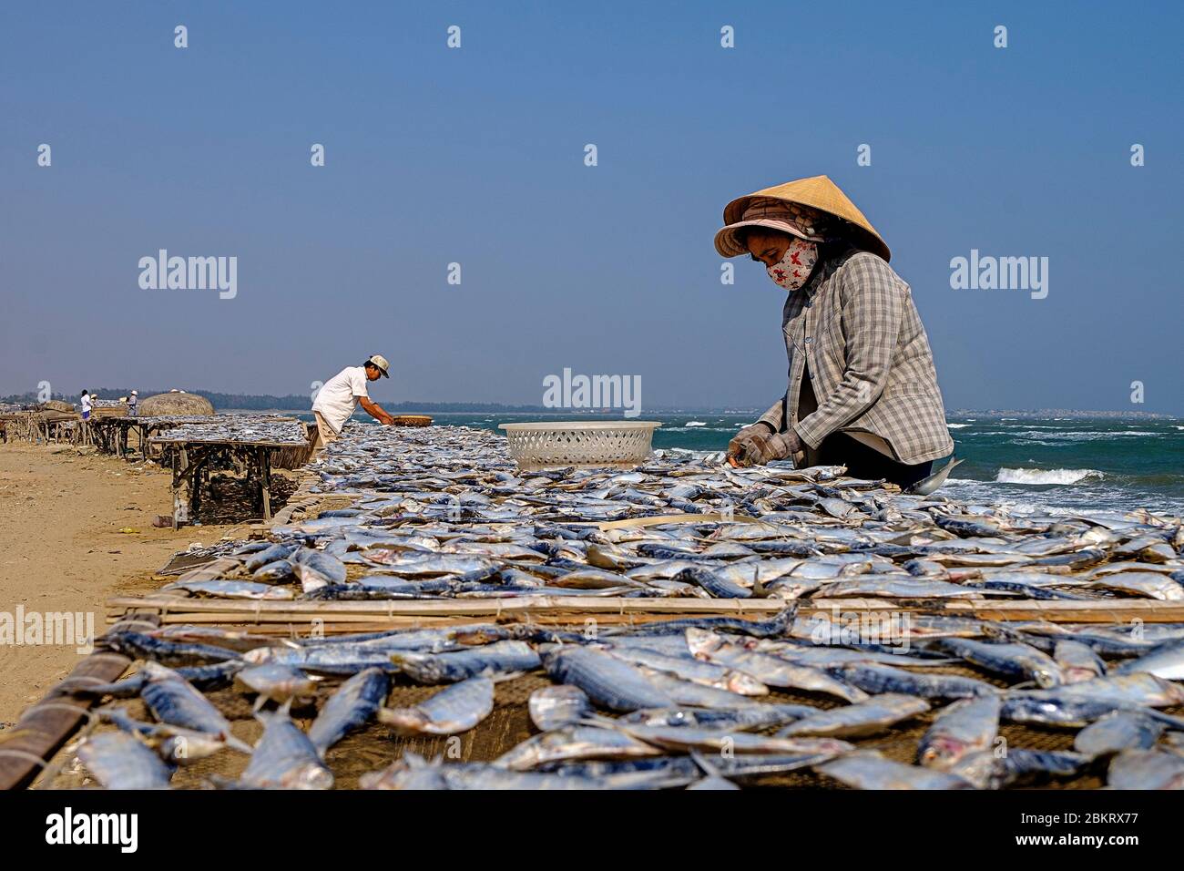 Vietnam, provincia di Ninh Thuan, Chi Cong, pesci secchi Foto Stock