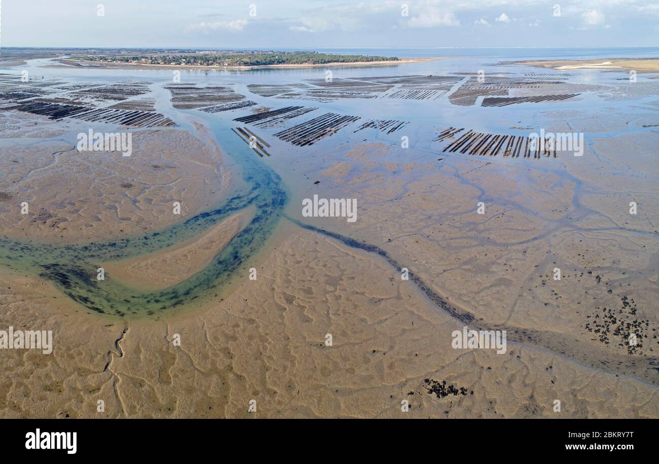 Francia, Charente Maritime, Isola di R?, Fier d'Ars, vista aerea Foto Stock