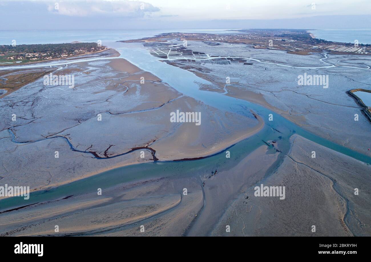Francia, Charente Maritime, Isola di R?, Fier d'Ars, vista aerea Foto Stock