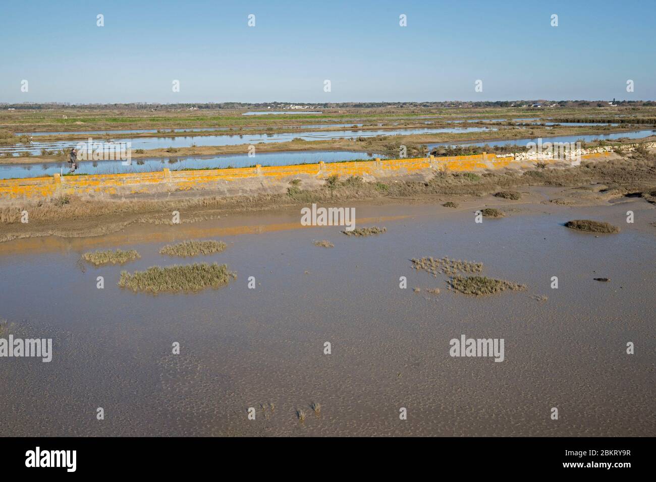 Francia, Isola di R?, Charente Maritime, Lilleau des Niges, Fier d'Ars Foto Stock