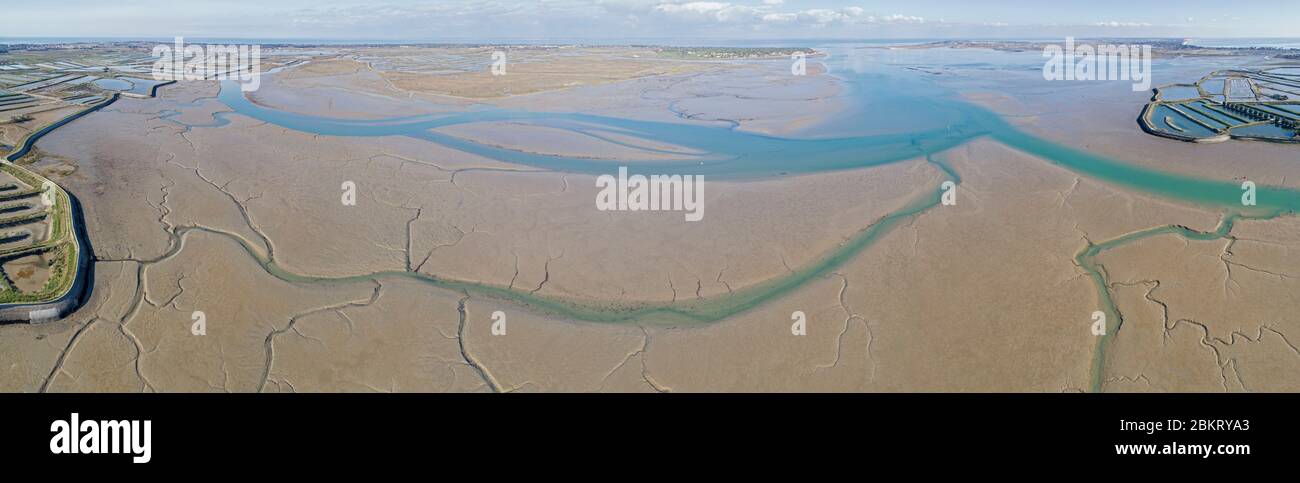 Francia, Charente-Maritime, Isola di R?, Fier d'Ars, vista aerea Foto Stock