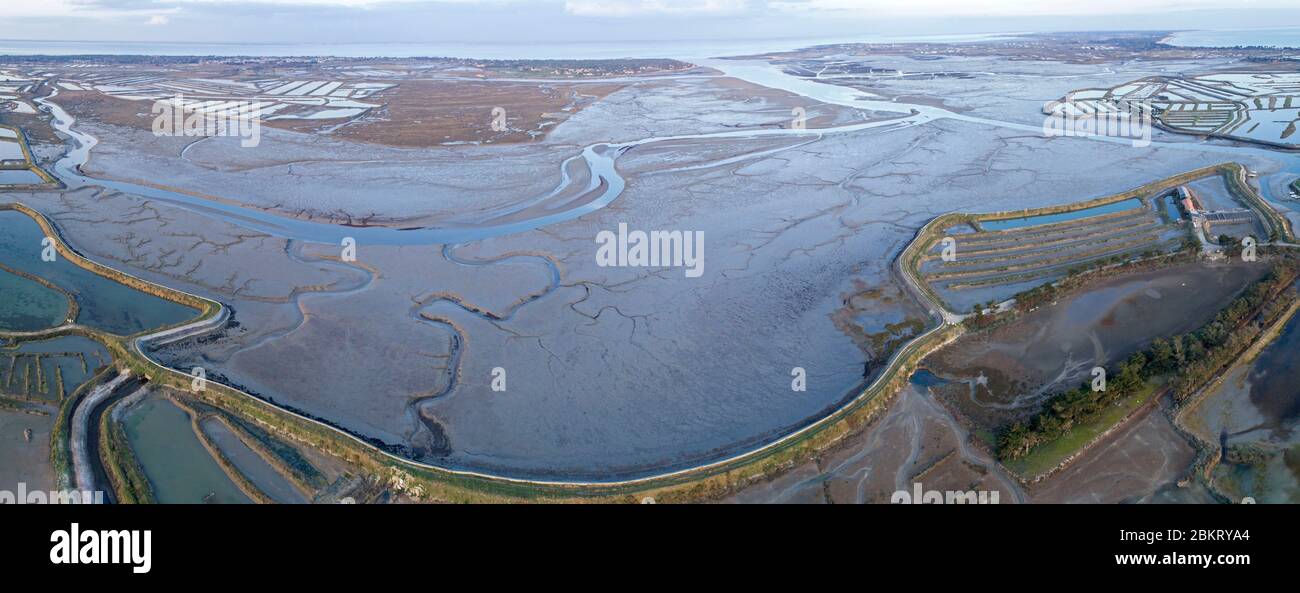 Francia, Charente Maritime, Isola di R?, Fier d'Ars, vista aerea Foto Stock