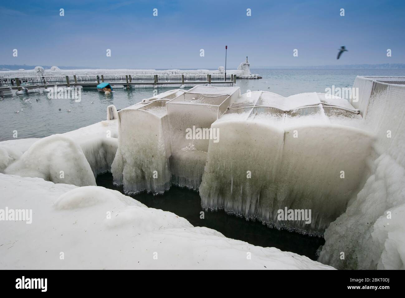 Svizzera, cantone di Ginevra, Versoix, i bordi del lago di Ginevra gelido in vento molto forte e freddo, pontoni ricoperti di ghiaccio Foto Stock