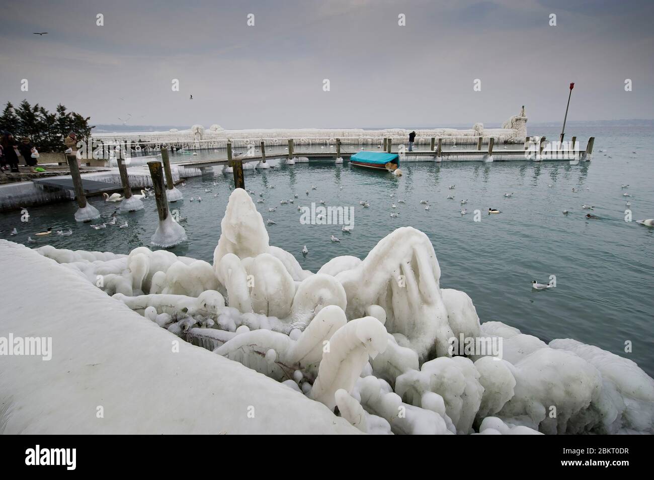 Svizzera, cantone di Ginevra, Versoix, i bordi del lago di Ginevra gelido in vento molto forte e freddo, pontoni ricoperti di ghiaccio Foto Stock