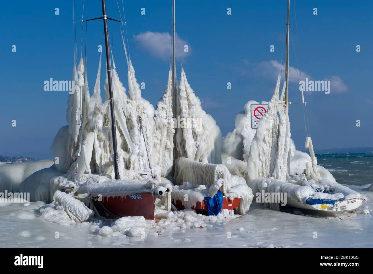 Svizzera, Cantone di Ginevra, Versoix, i bordi del Lago di Ginevra gelido in un vento molto forte e freddo, navi a vela coperte di ghiaccio Foto Stock