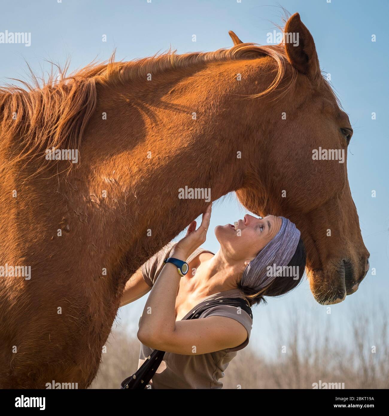 Ungheria, Somogy, Siofok, Lago Balaton Foto Stock