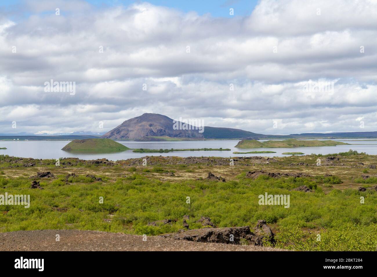 Vista sul lago di Mývatn, Islanda. Foto Stock