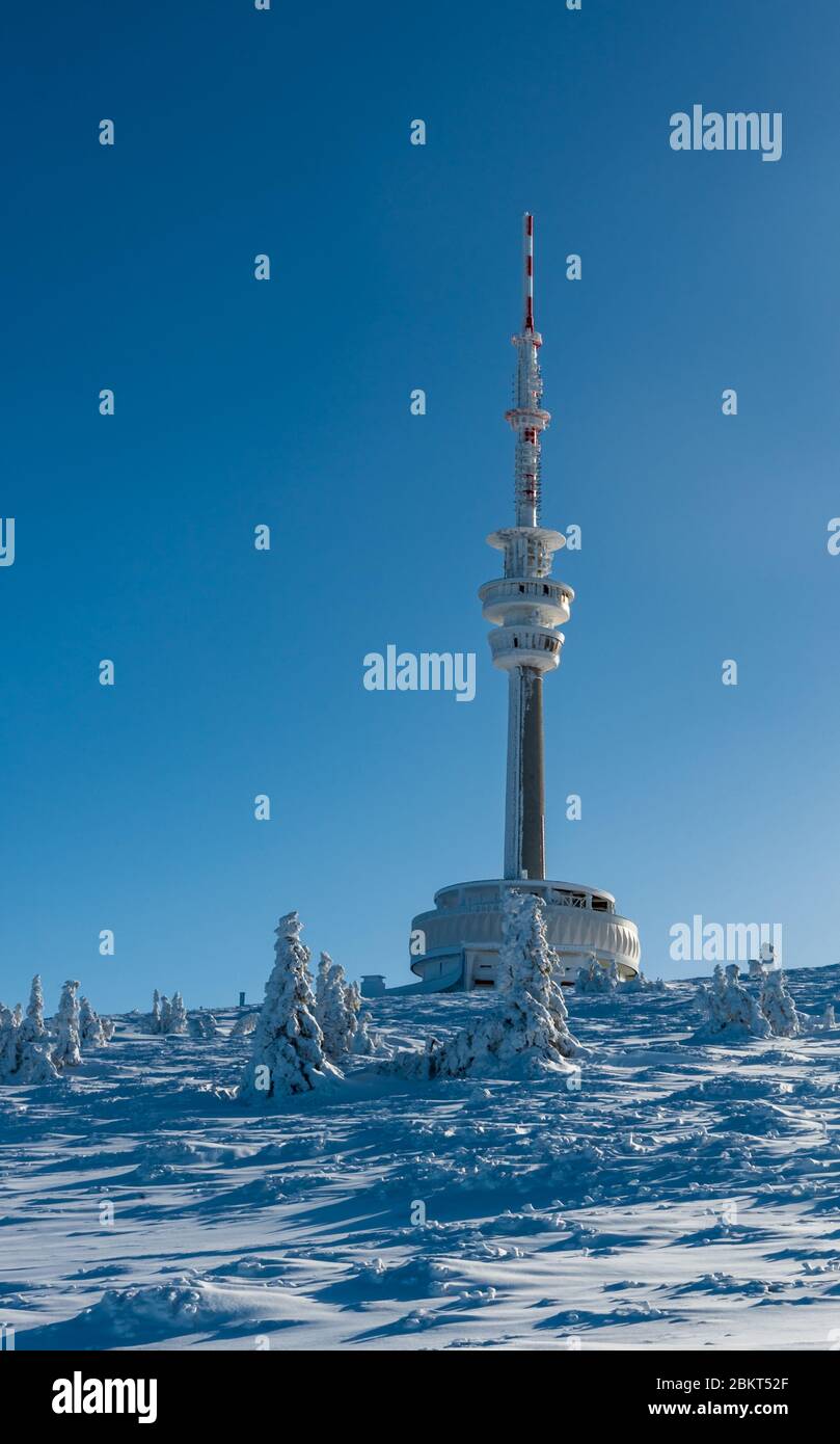 Collina di Prad con piccoli alberi congelati, torre di comunicazione e neve in montagne gesueniky in repubblica Ceca durante la giornata di congelamento con clea Foto Stock