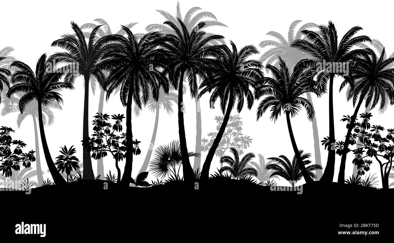 Modello senza giunture orizzontale, Foresta tropicale estiva, Paesaggio di piastrelle con palme esotiche e erba, Silhouette nere e grigie su sfondo bianco. Vettore Illustrazione Vettoriale