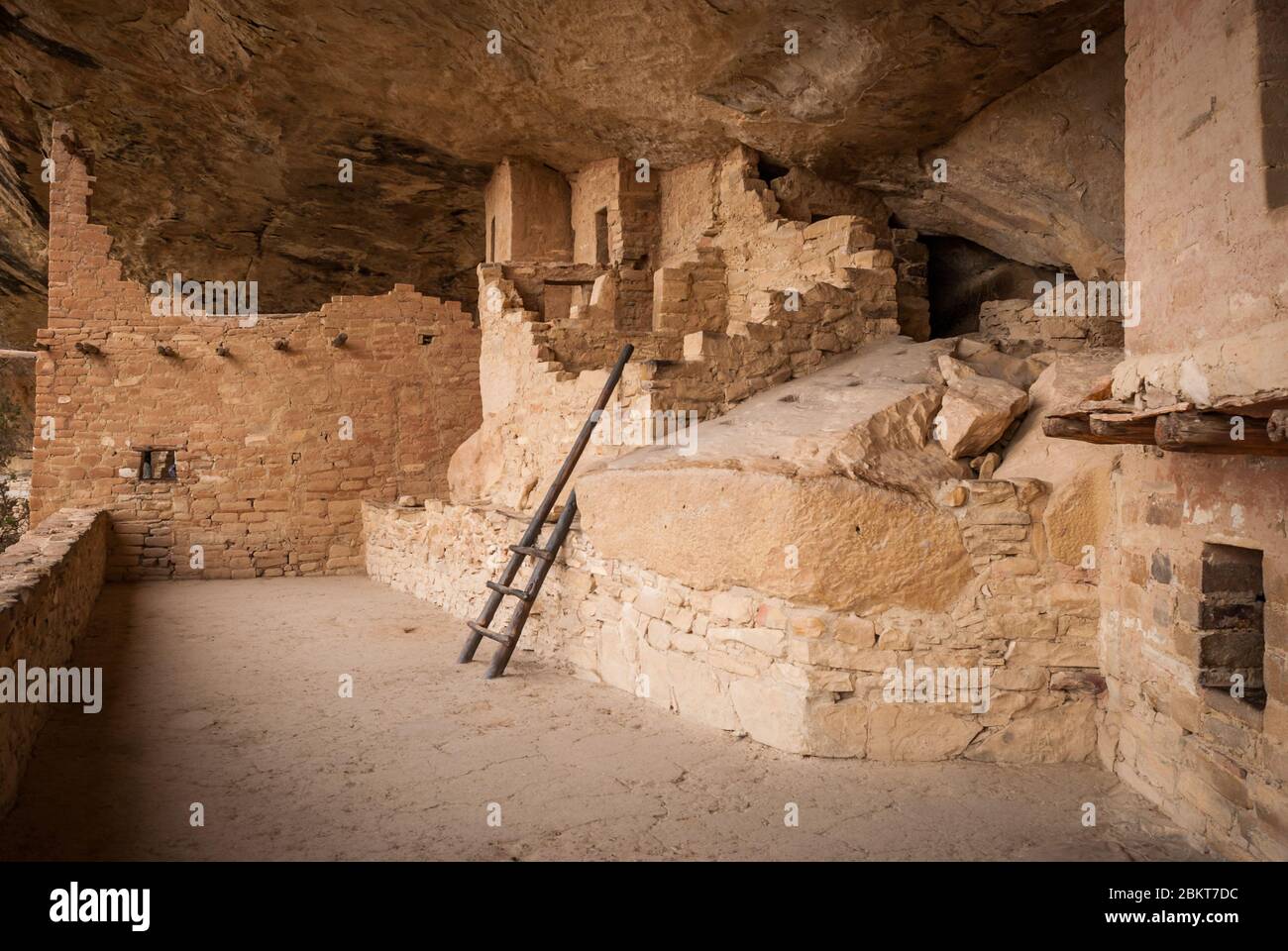 Una delle molte antiche dimore di scogliera costruite dagli ancestrali Puebloans nel Parco Nazionale Mesa Verde. Foto Stock