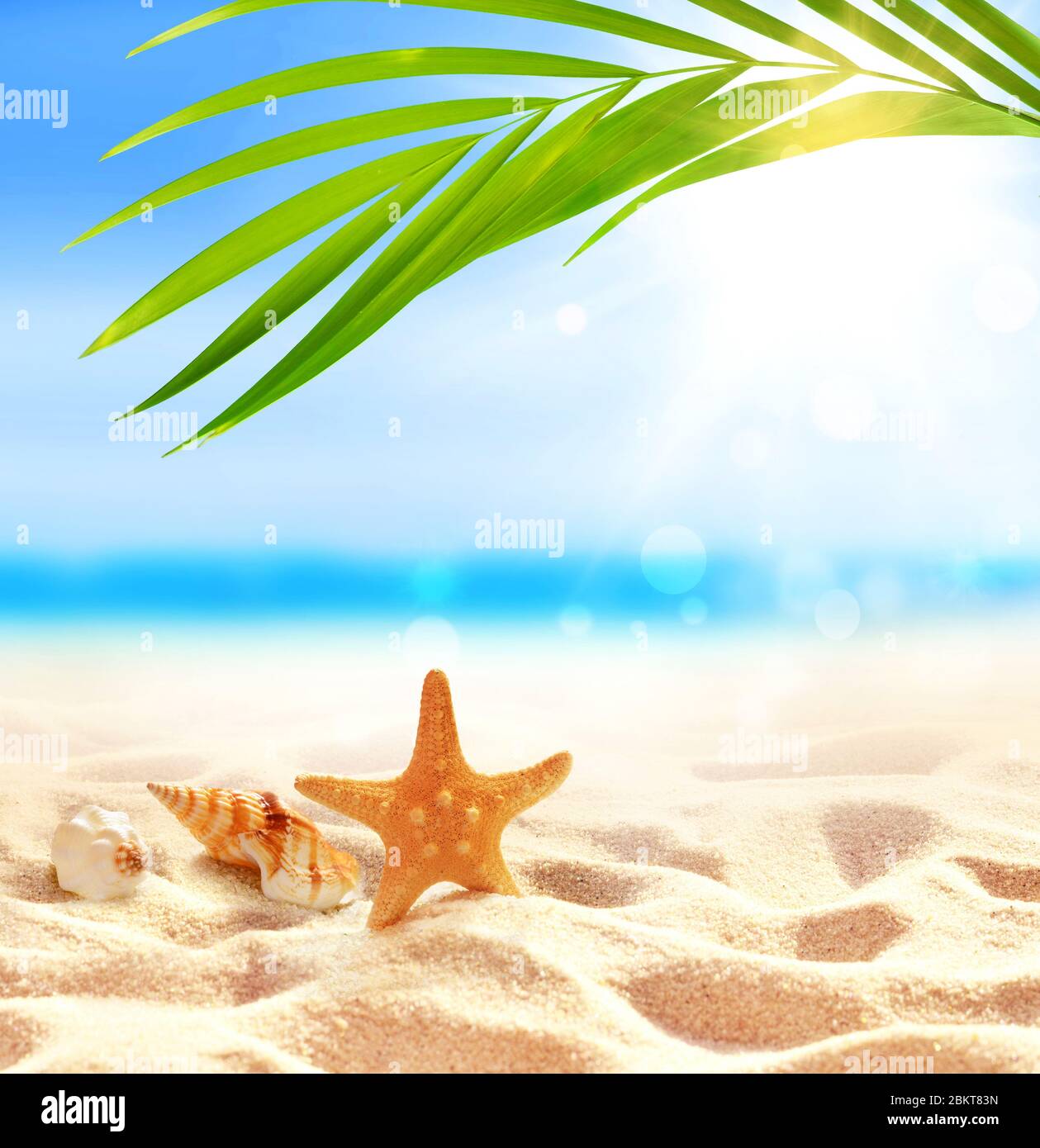 Spiaggia estiva con stelle marine e conchiglia in sabbia bianca e foglia di palma tropicale. Foto Stock
