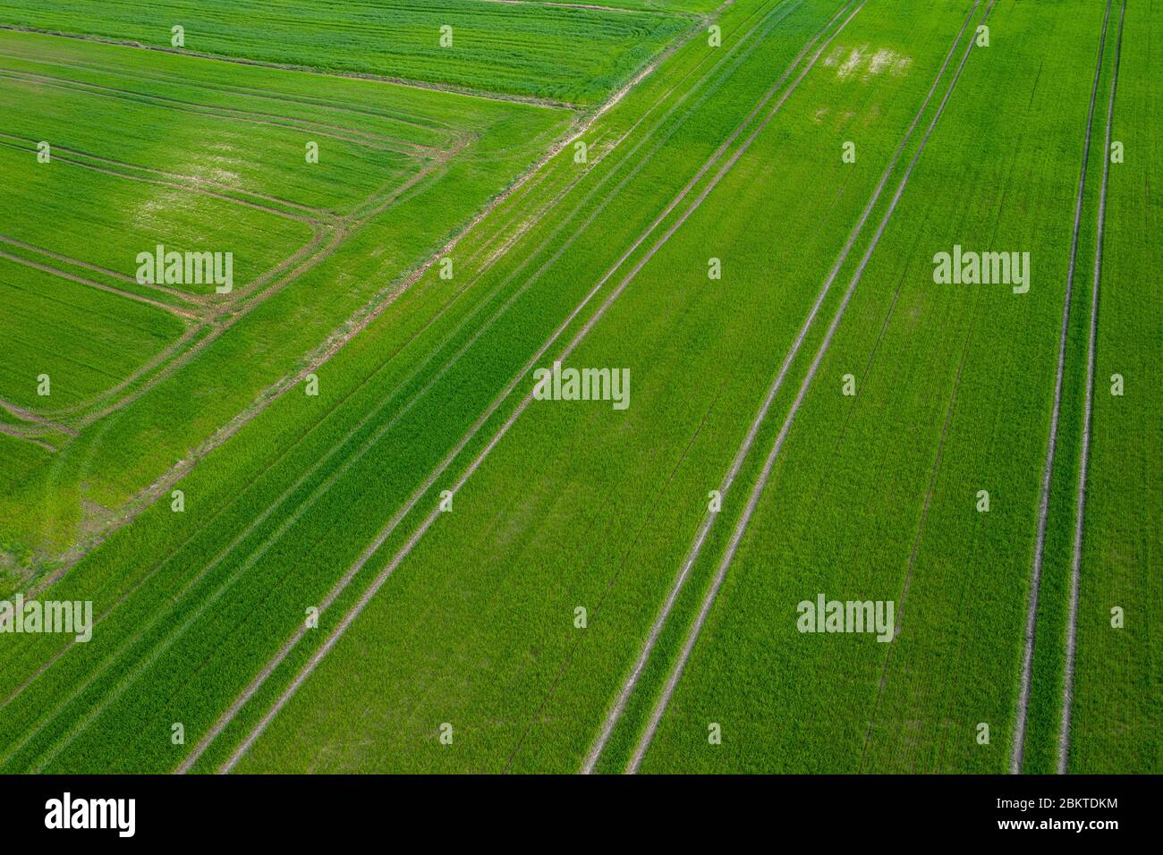 vista aerea sui campi rurali in estate Foto Stock