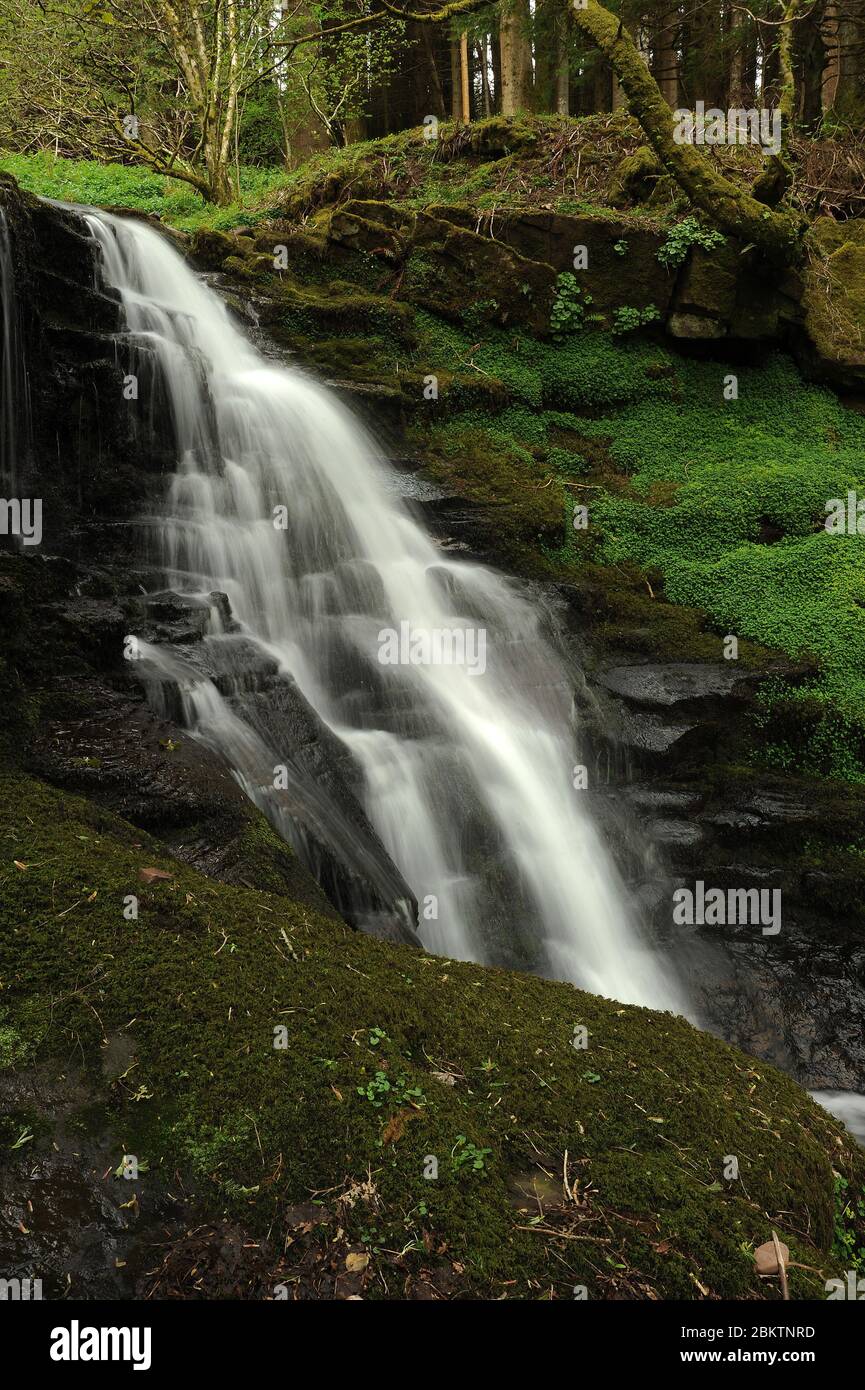 Penultima cascata sul Nant Bwrefwr. Foto Stock