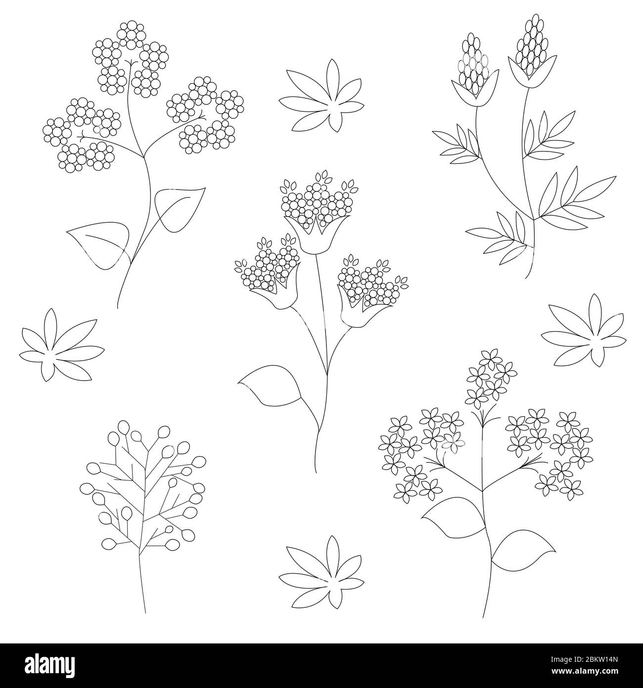Un set di fiori selvatici su sfondo bianco in grafica vettoriale. Pianta medicinale. Per colorare libri, illustrazioni botaniche, carta da imballaggio, tessuti Illustrazione Vettoriale