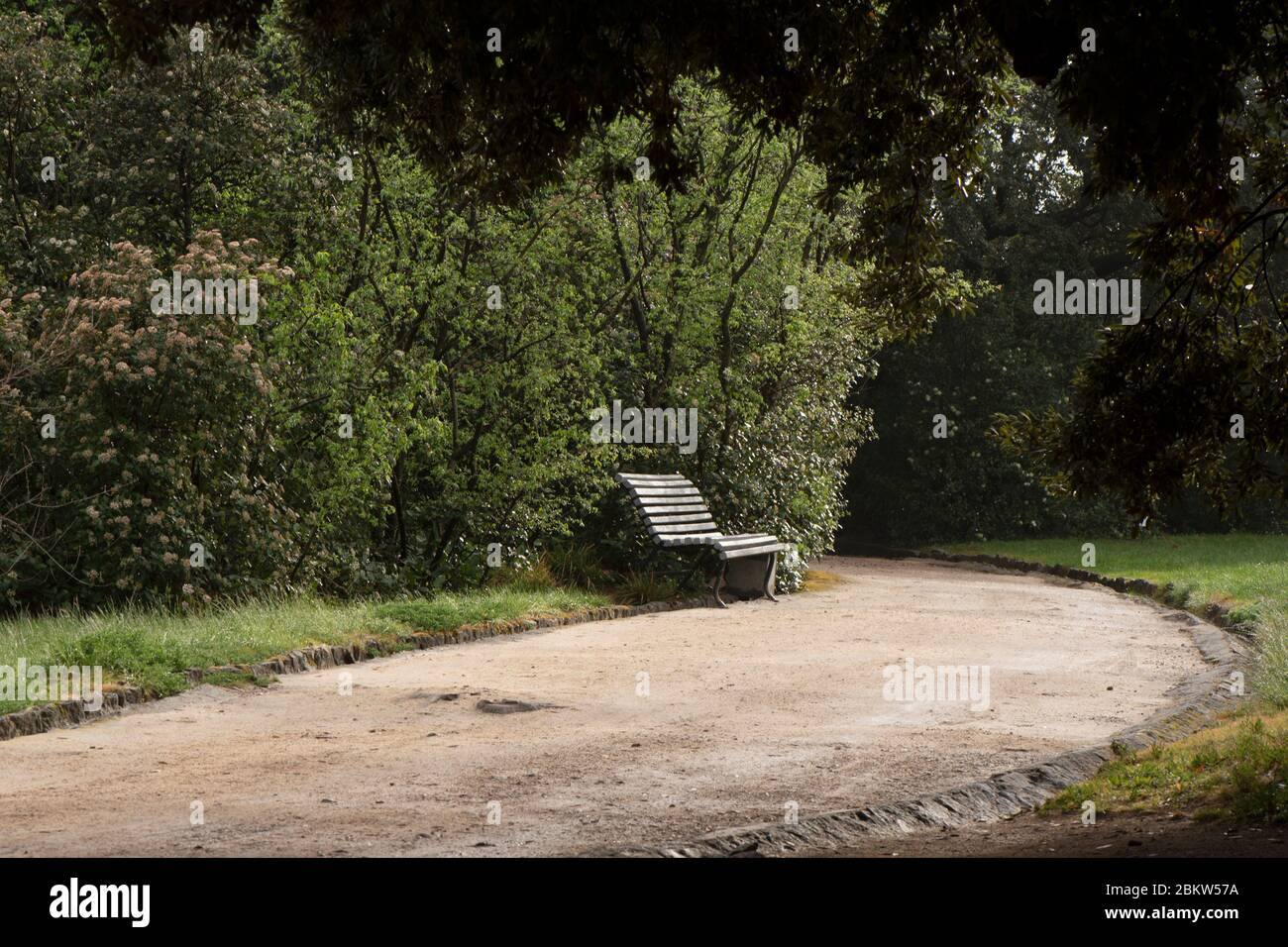 Una panchina si erge da sola sulla strada. C'è molto da fare dietro la panchina, che rende la panchina ancora più solitaria. Strada nel Parco. In primo piano sono i rami degli alberi. Una panchina si trova di fronte a un prato falciato. Non ci sono persone sulla strada. Foto Stock