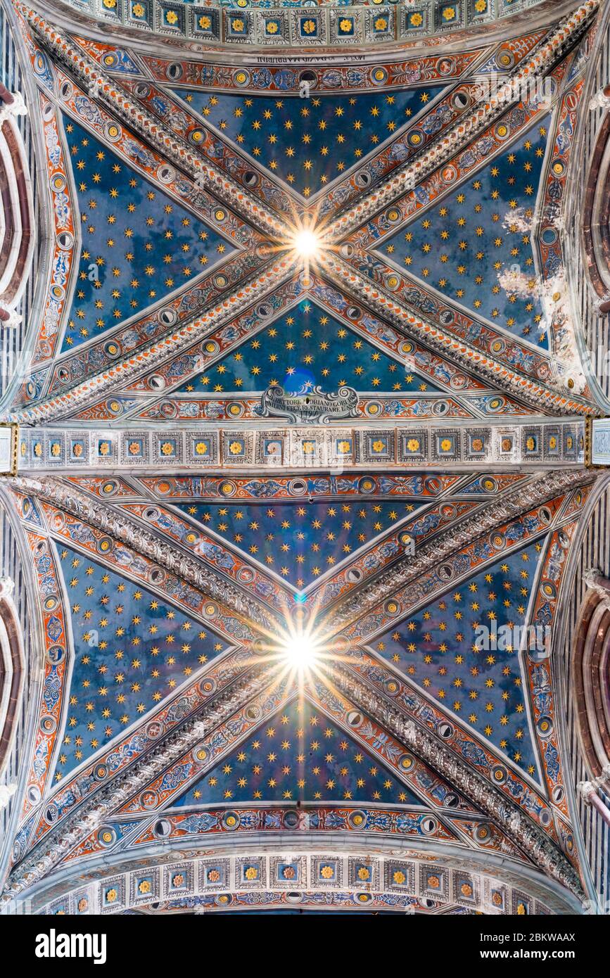 Immagine verticale della splendida cupola della Cattedrale cattolica di Siena, uno dei migliori luoghi di Siena Foto Stock