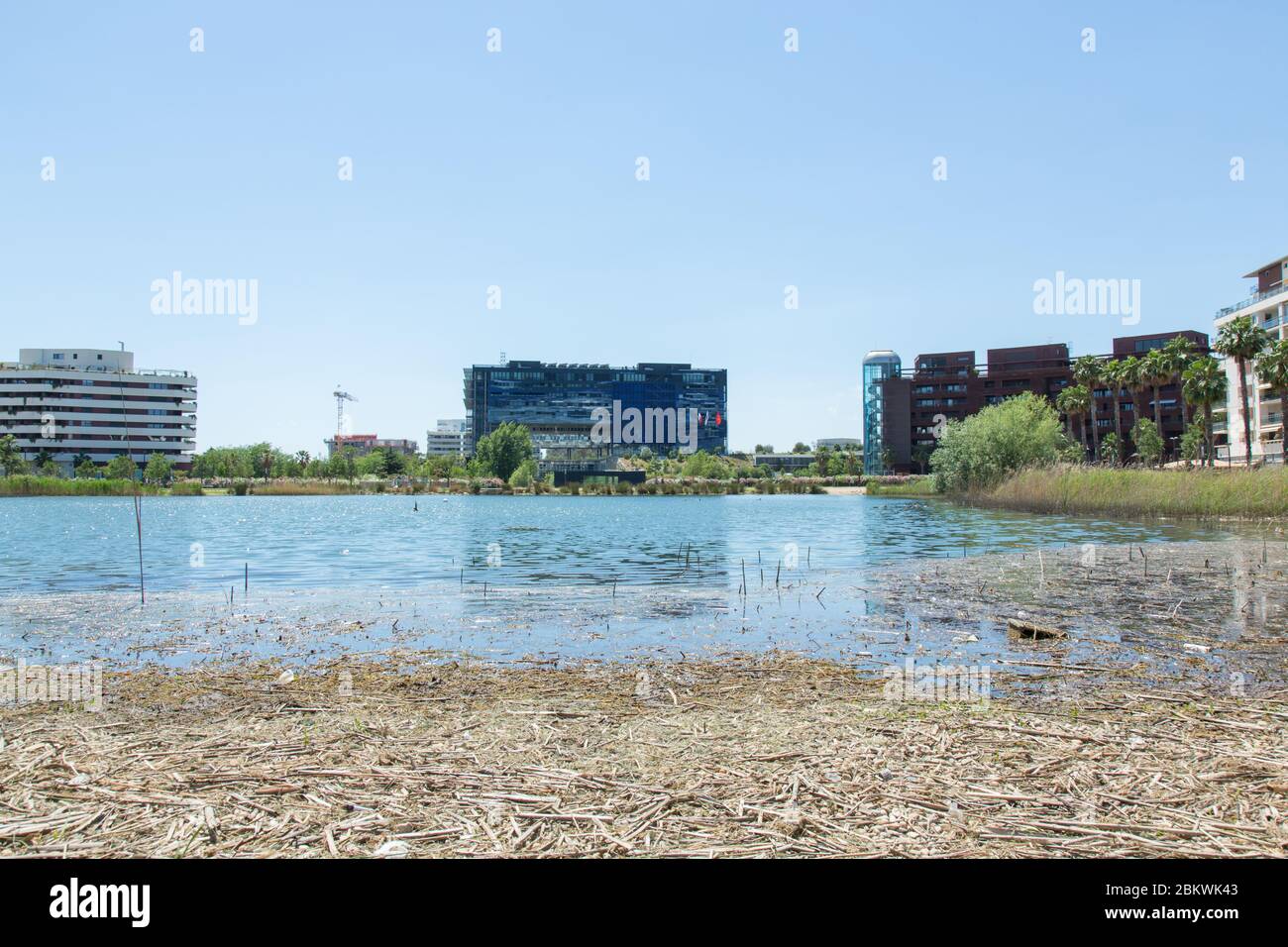 Municipio nel nuovo quartiere della città di Montpellier Foto Stock