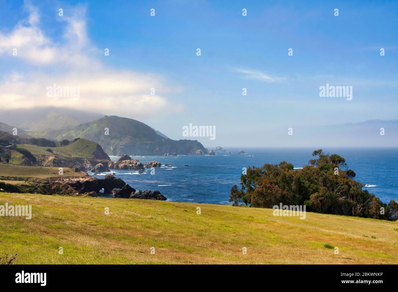 Vista da Rocky Point a Big sur sulla penisola di monterey. Foto Stock