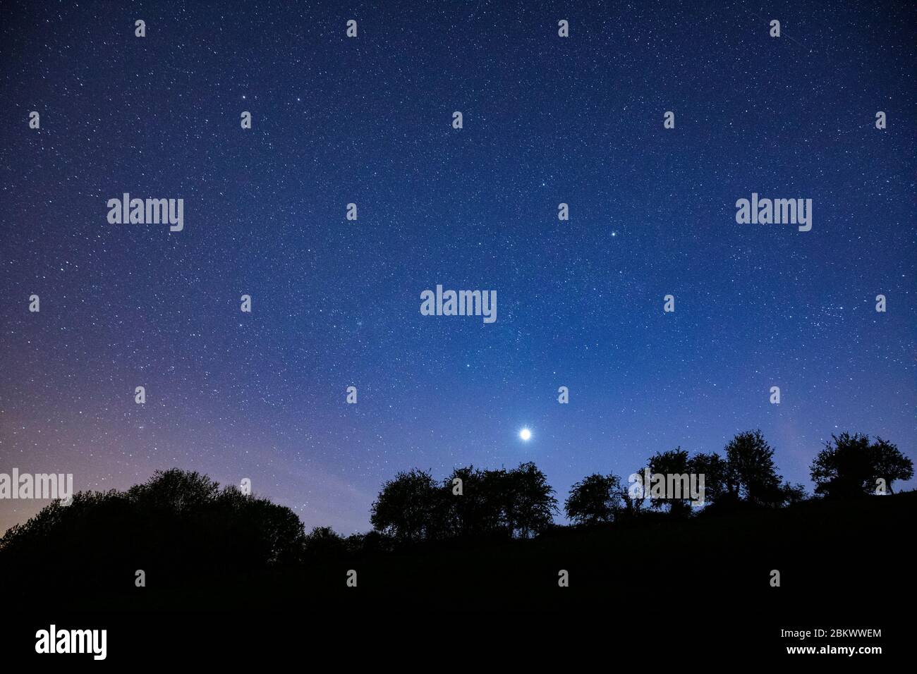 Moltitudine di stelle e una stella di tiro nel cielo notturno con Venere al suo palcoscenico più luminoso quest'anno, in vista prominente sull'Inghilterra meridionale, United Kingdo Foto Stock