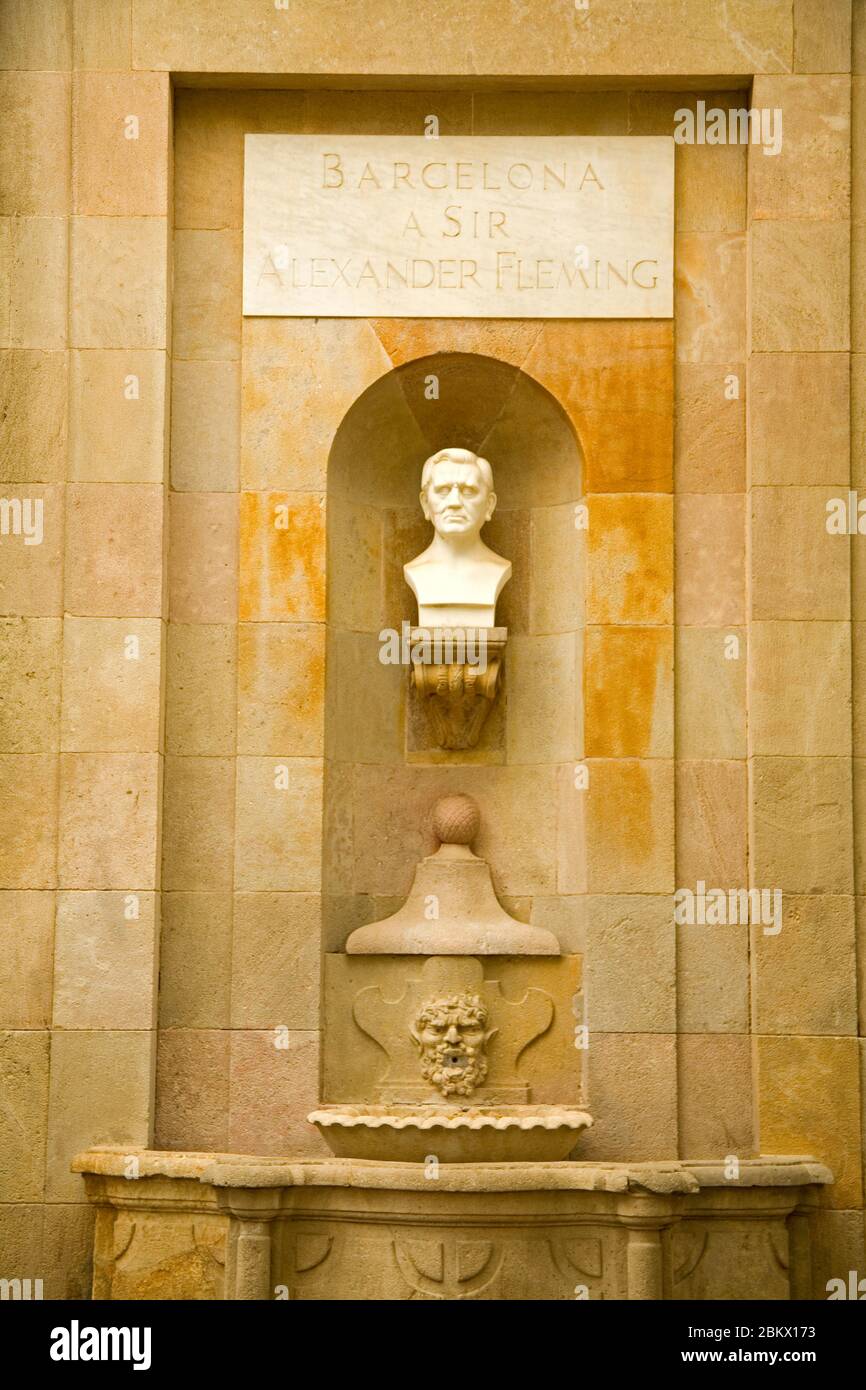 Busto di Sir Alexander Fleming, quartiere El Raval, città di Barcellona, Spagna Foto Stock