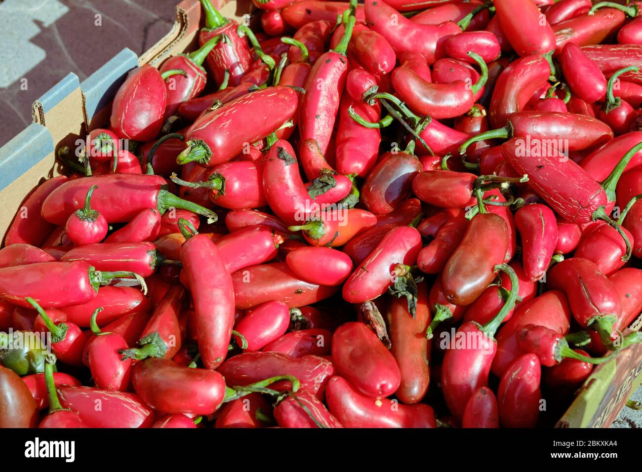 Vista dall'alto di una cassa di peperoni Jalapeno rossi in una cassa per la vendita in Messico mercato Foto Stock