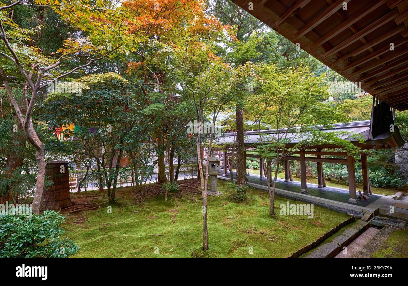 KYOTO, GIAPPONE - 17 OTTOBRE 2019: Il piccolo giardino sul retro dell'Hoso, l'ex residenza del prete capo del tempio Ryoan-ji. Kyoto. Giappone Foto Stock