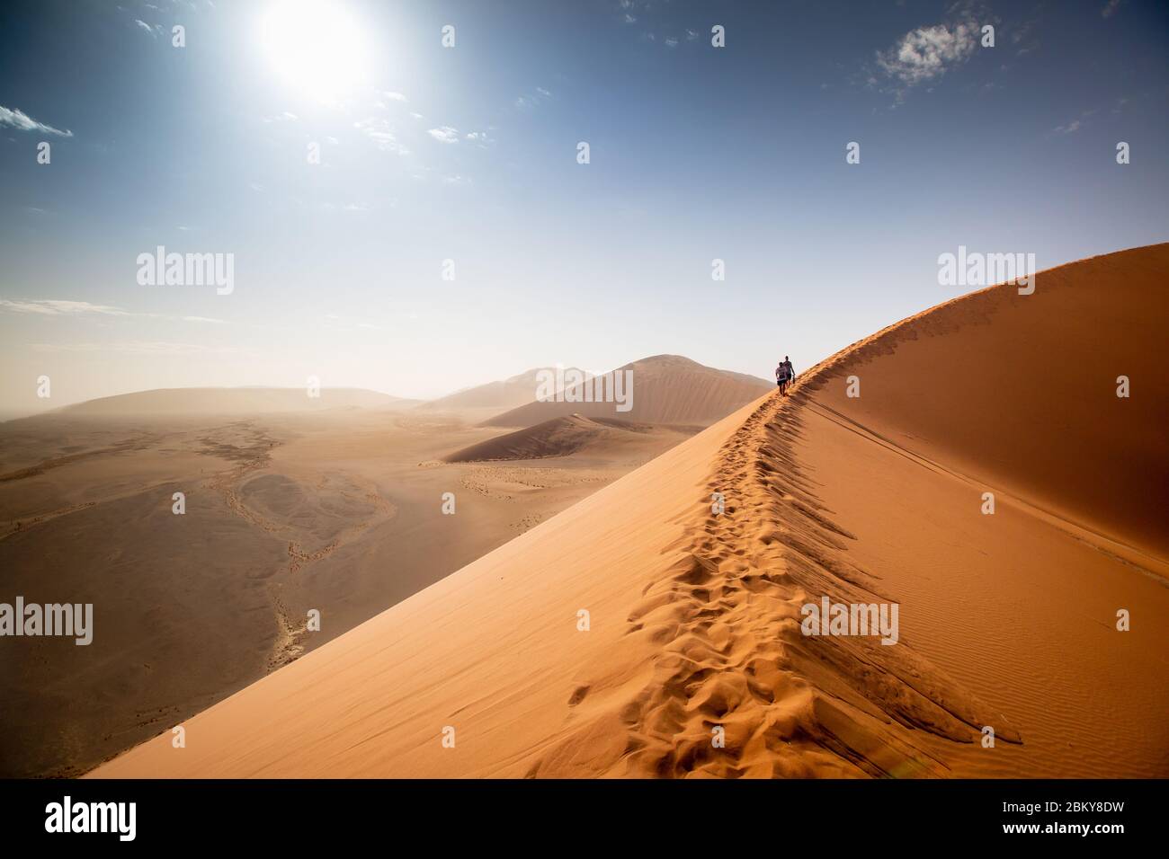 Dune 45 nel deserto del Namib. Sole del mattino. Sossusvlei, Namibia. Africa. Dune di sabbia arancione. Cielo blu. Vista su altre dune. Foto Stock