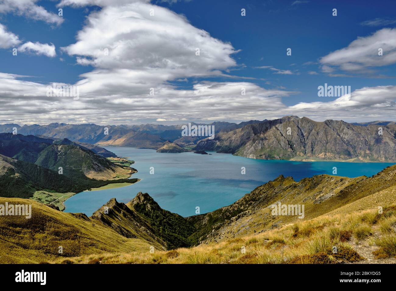 Vista sul lago Hawea dalla cima dell'Istmo. The Neck Otago, South Island, Nuova Zelanda. Foto Stock