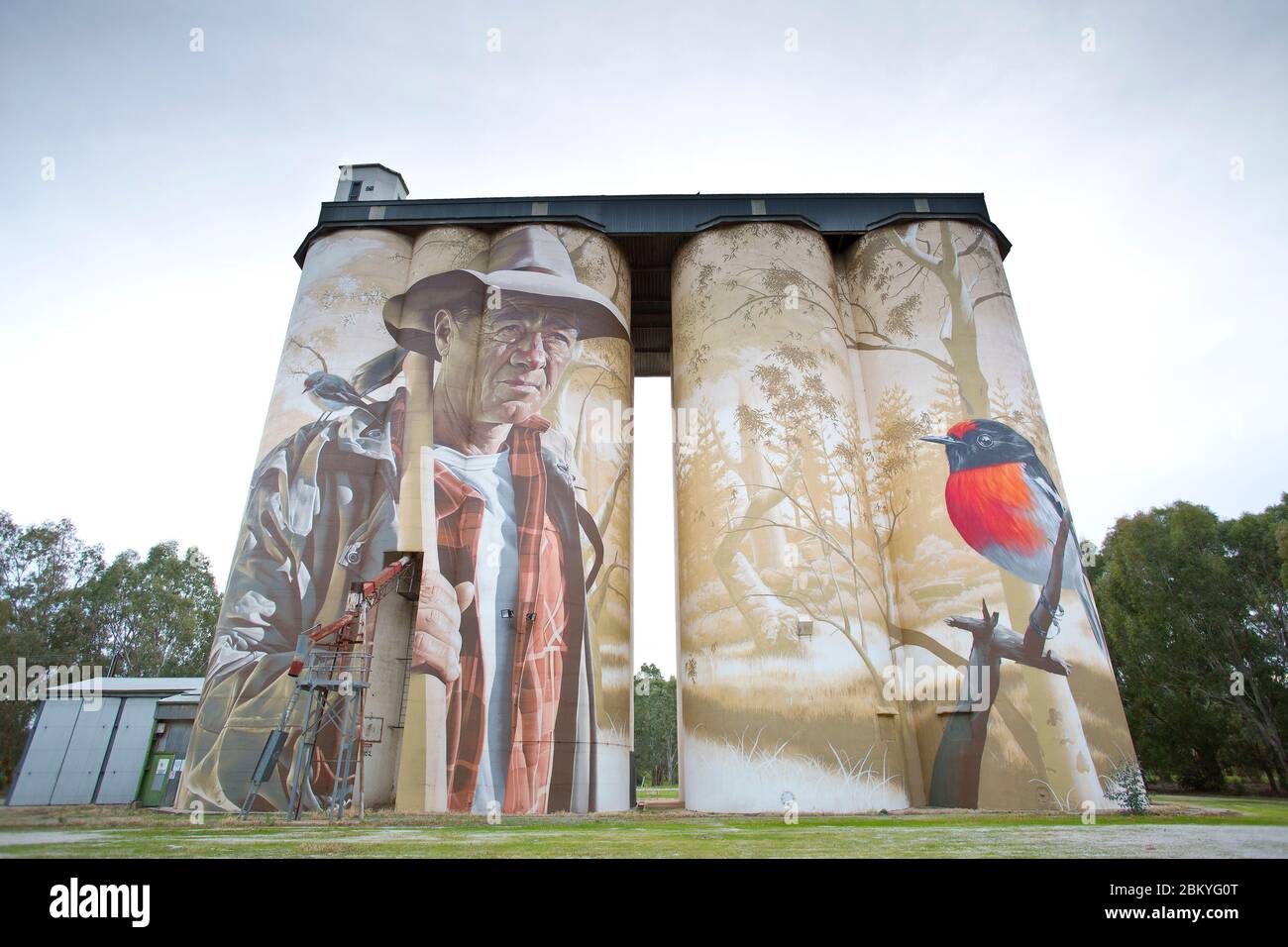 Silo art di Smug (Sam Bates), Wirrabara, Australia del Sud, Australia Foto Stock