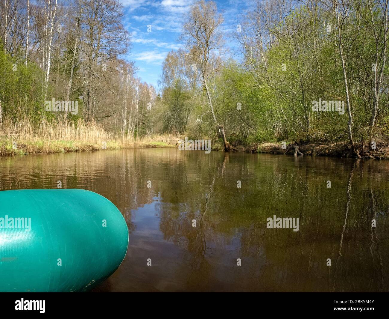 casa beaver nel prato del lago, paesaggio primaverile Foto Stock