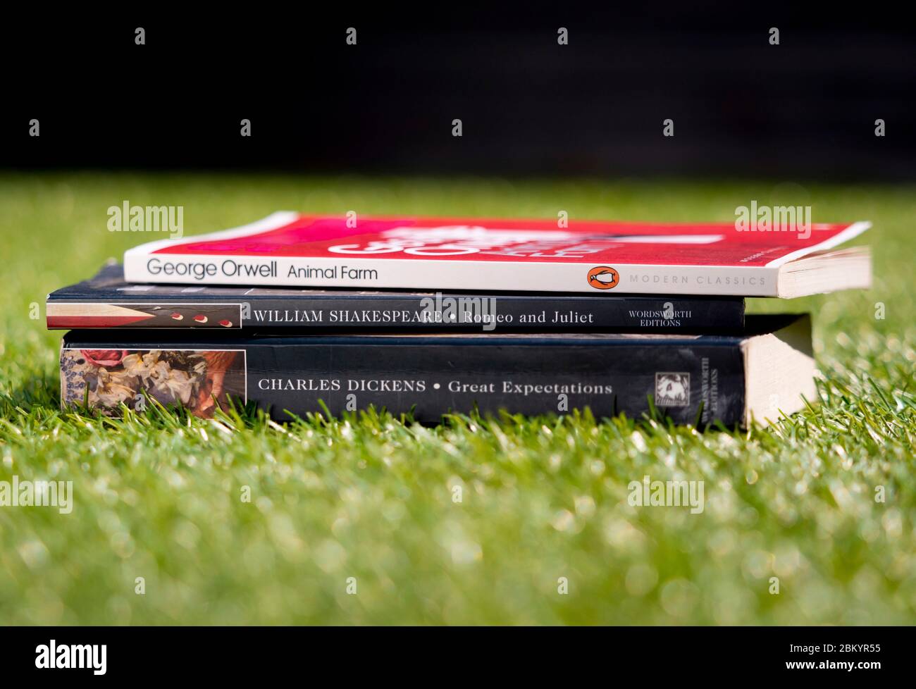 Selezione di libri popolari di autori famosi, George Orwell, William Shakespeare e Charles Dickens sul prato in estate Foto Stock
