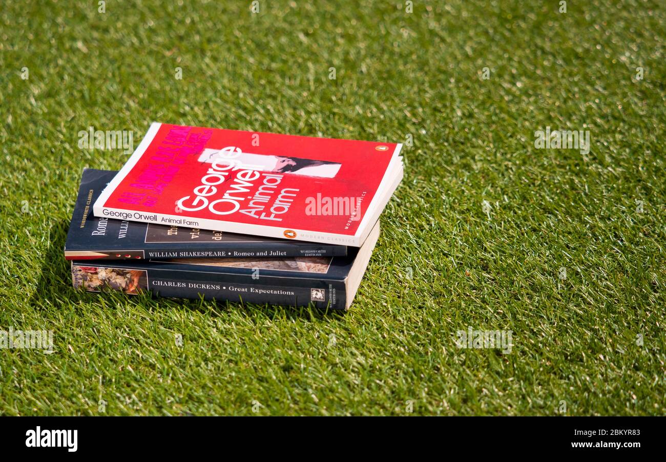 Selezione di libri popolari di autori famosi, George Orwell, William Shakespeare e Charles Dickens sul prato in estate Foto Stock