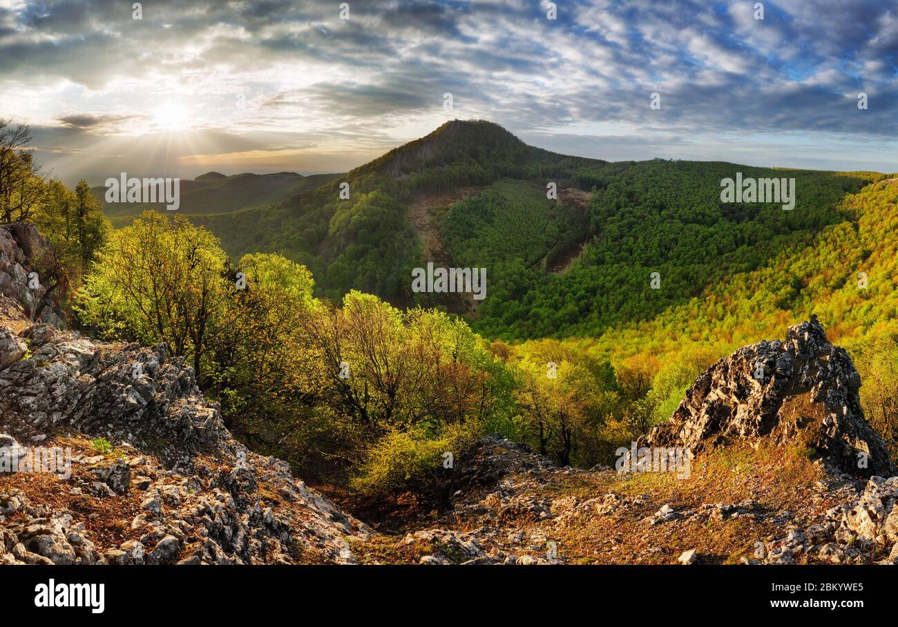 Foresta natura landcape con picco e sole al tramonto drammatico, Slovacchia - Carpazi Foto Stock