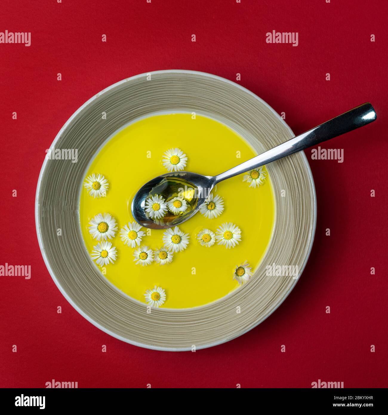 La zuppa di primavera con margherite sul piatto Foto Stock