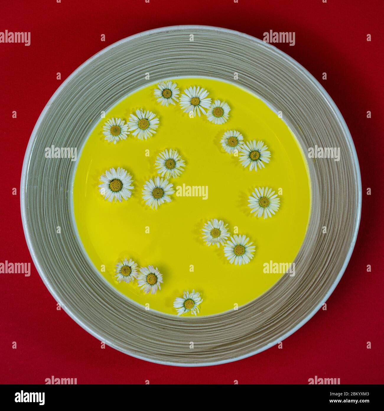 La zuppa di primavera con margherite sul piatto Foto Stock