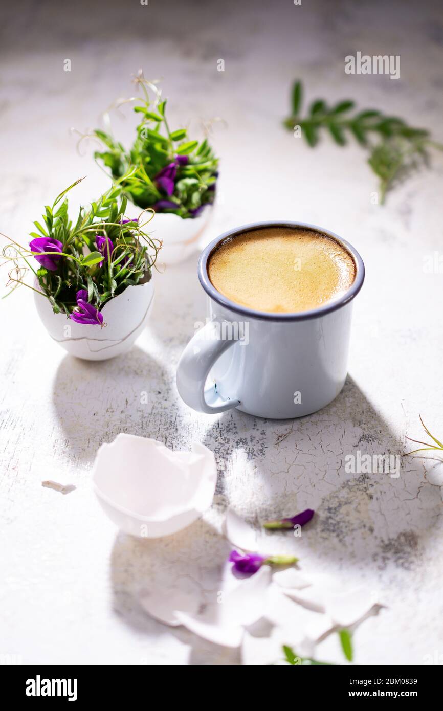 Caffè del mattino con splendidi fiori in gusci d'uovo. Espresso aromatico in stile country. Cibi e bevande a basso contenuto di grassi. Foto Stock