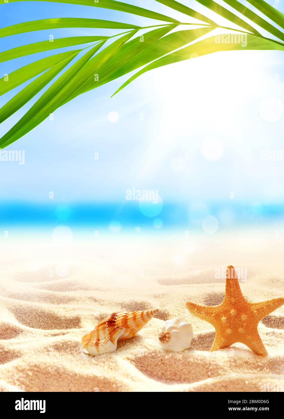 Spiaggia estiva con stelle marine e conchiglia in sabbia bianca e foglia di palma tropicale. Foto Stock