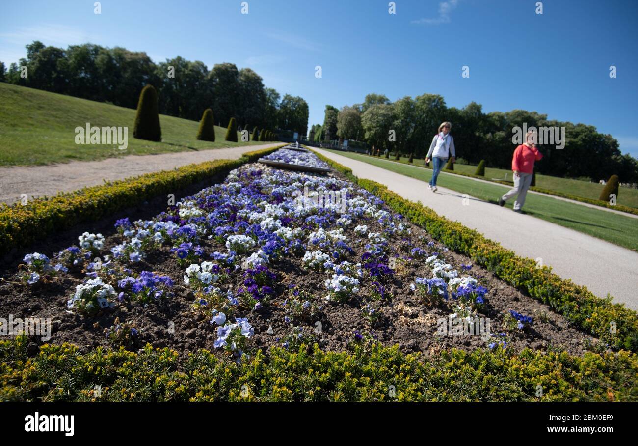 06 maggio 2020, Baden-Wuerttemberg, Ludwigsburg: I visitatori del giardino mostrano 'Blühendes Barock' camminare oltre un letto di fiori. Nel corso del rilassamento delle restrizioni del coronavirus, anche i giardini del Barocco fiorente sono stati parzialmente riaperti al pubblico. Foto: Marijan Murat/dpa Foto Stock