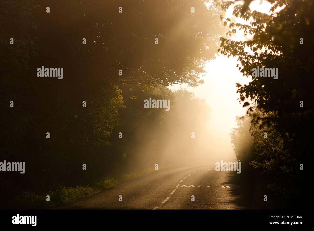 Un'atmosfera mistica mattina su Newton Lane, che corre tra Allerton Bywater nel West Yorkshire e Fairburn nel North Yorkshire. Foto Stock